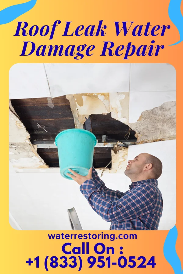 Roof Leak Water Damage Repair in Evergreen, LA