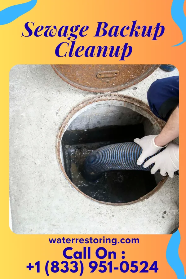 Sewage Backup Cleanup in Evergreen, LA